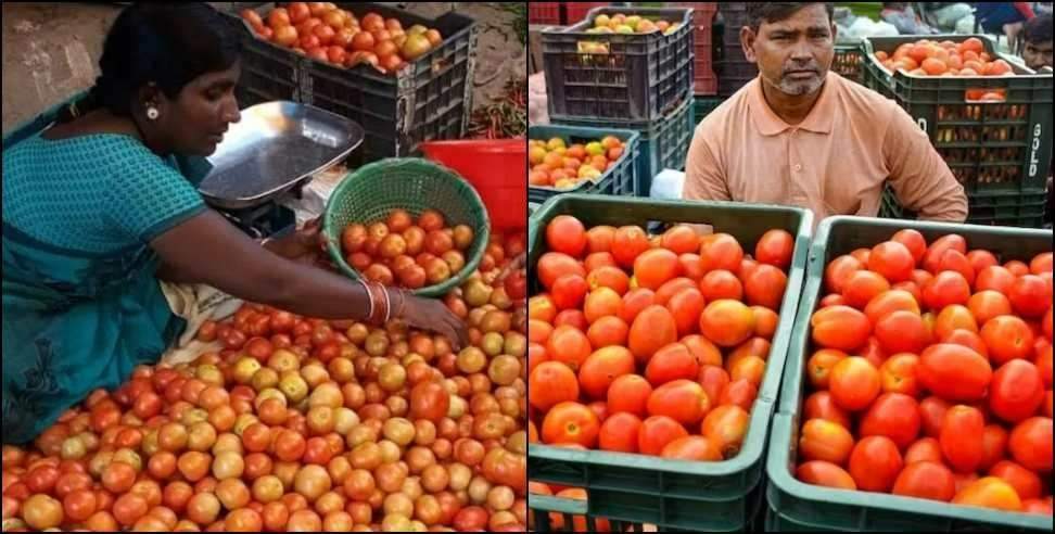 Dehradun afghani tomato: Afghani tomato to import in Dehradun vegetable market