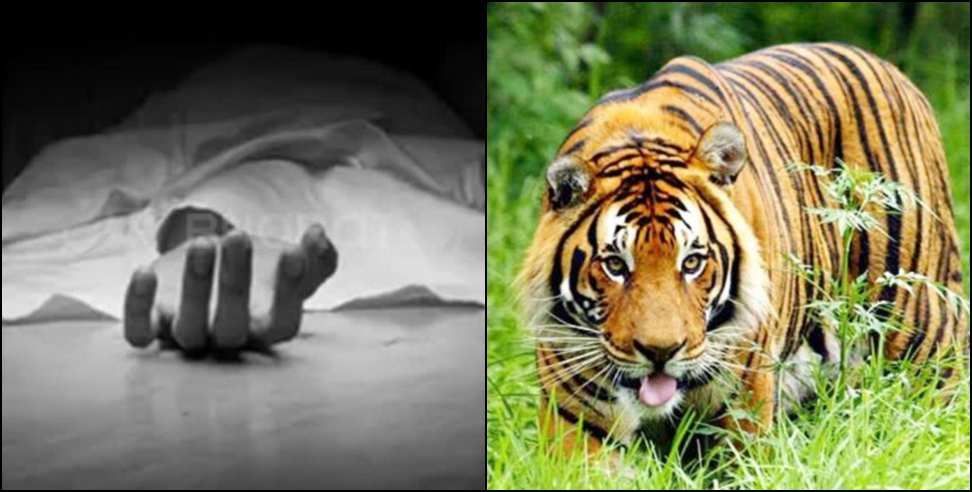 Woman killed by tiger in Haldwani