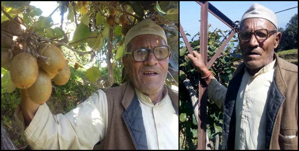 Mohan Singh Latwal: Almora farmer Mohan Singh Latwal Kiwi Farming