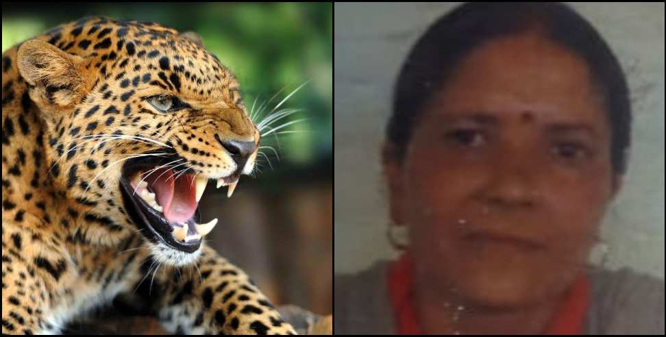 pauri pabo block sushma devi leopard: Leopard attacked Sushma Devi of Pauri Garhwal Pabo Block