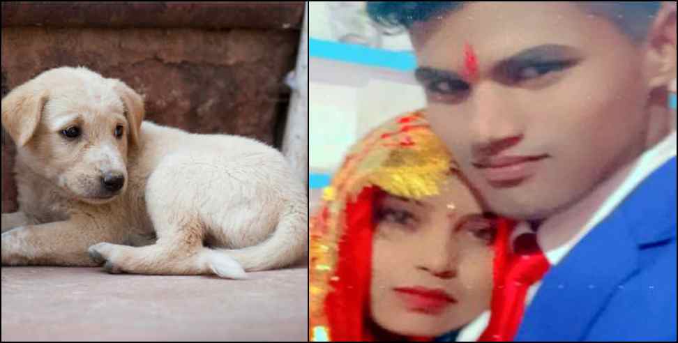 Udham singh nagar husband bring puppy to home wife suicide