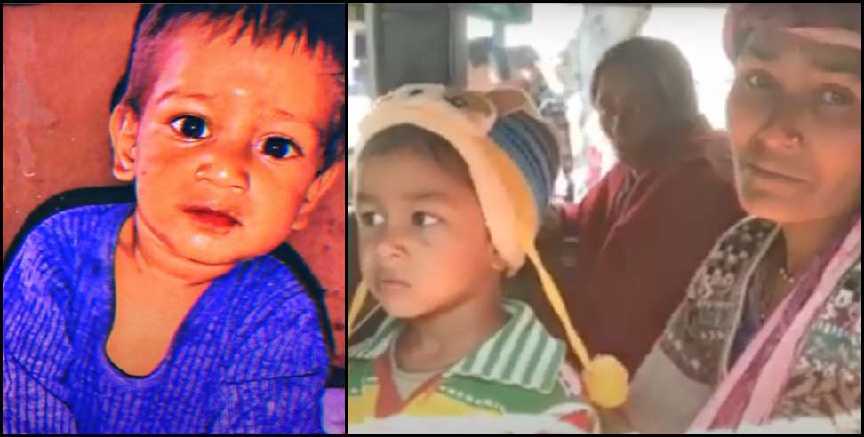 bageshwar tataiya hamla child death: Wasps attacked two children in Pausari village of Bageshwar