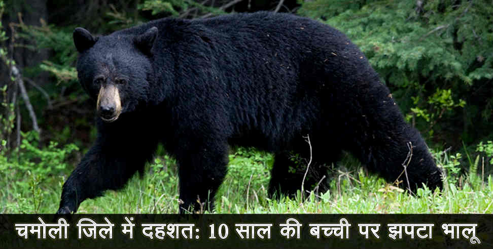 Chamoli bear: Chamoli district bear attack on child