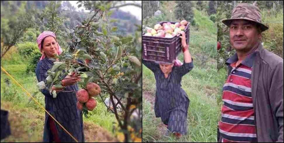 Pauri Garhwal Husband Wife Apple Farming: Pauri Garhwal Vijaypal Chand Apple and Kiwi Farming with Wife