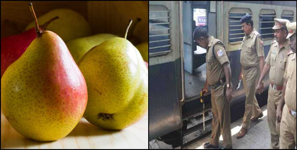 Uttarakhand GRP Apple Pear news: Kathgodam GRP in search of apple and pear