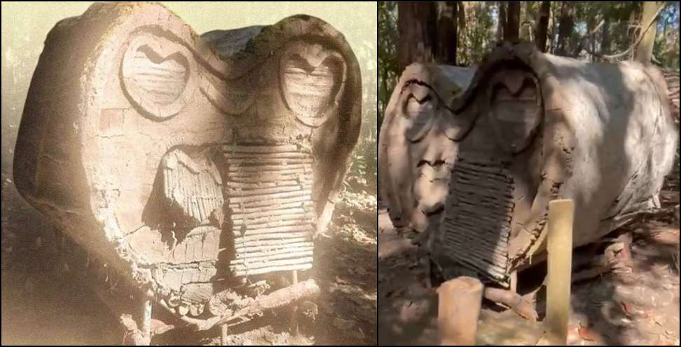 Mysterious hut found in dense forest