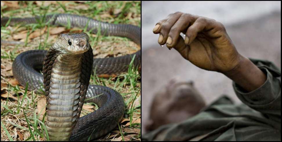Haldwani snake Bite: Snake bite man in haldwani
