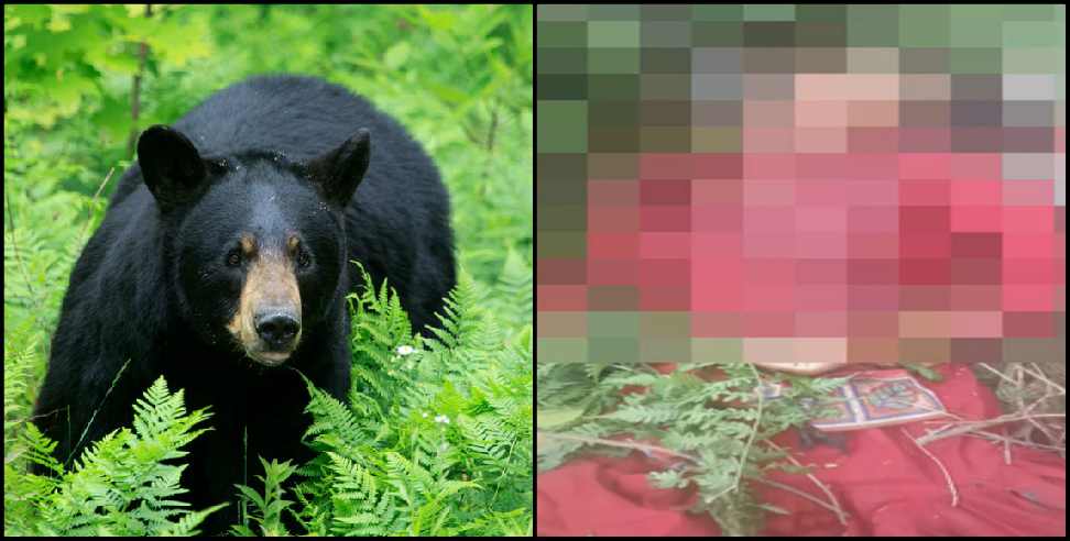 Tehri Garhwal bear: Woman attacked by a bear in Narendranagar