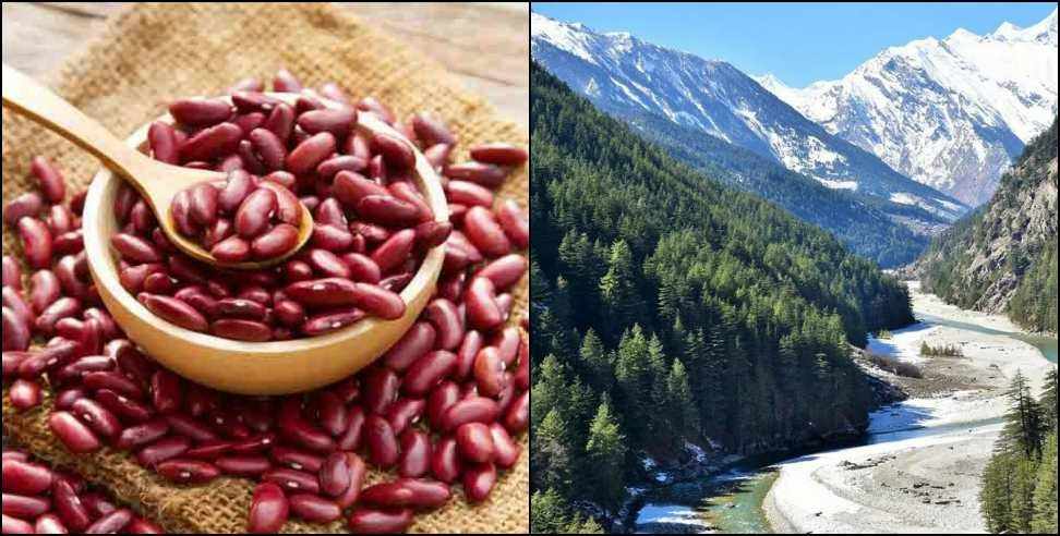 Harshil Valley Rajma: Health Benefits of Uttarakhand Harshil Valley Rajma