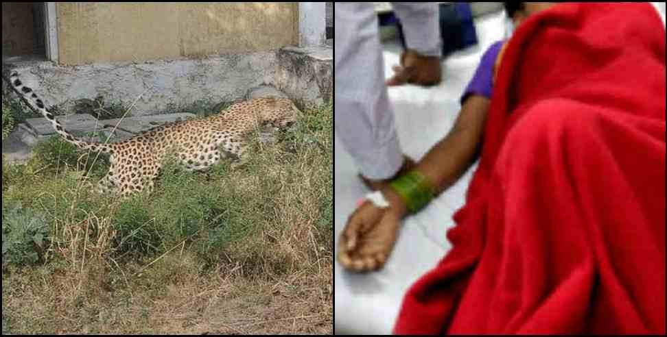 Jeolikot Leopard: Leopard attack on woman in Jeolikot