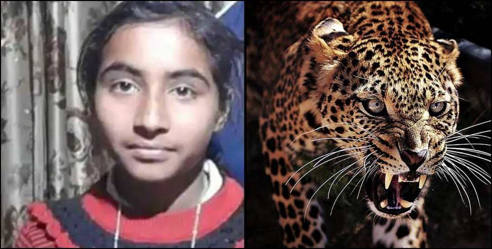 Nainital news: Nainital leopard killed two girls