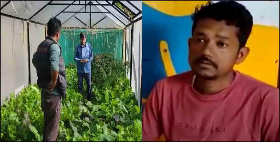 bageshwar deepak gariya organic farming: Bageshwar Deepak Gariya Organic Farming Earnings