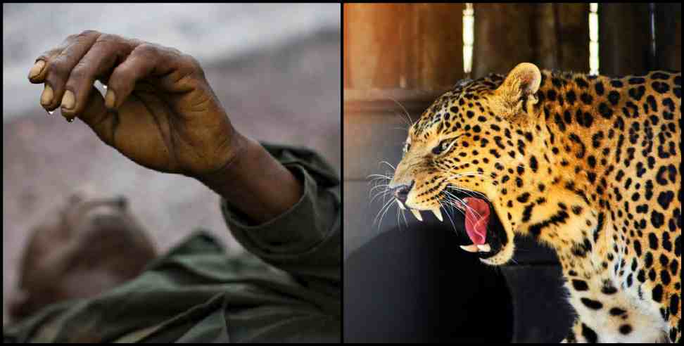 Chamoli News: Leopard killed a man  in Chamoli