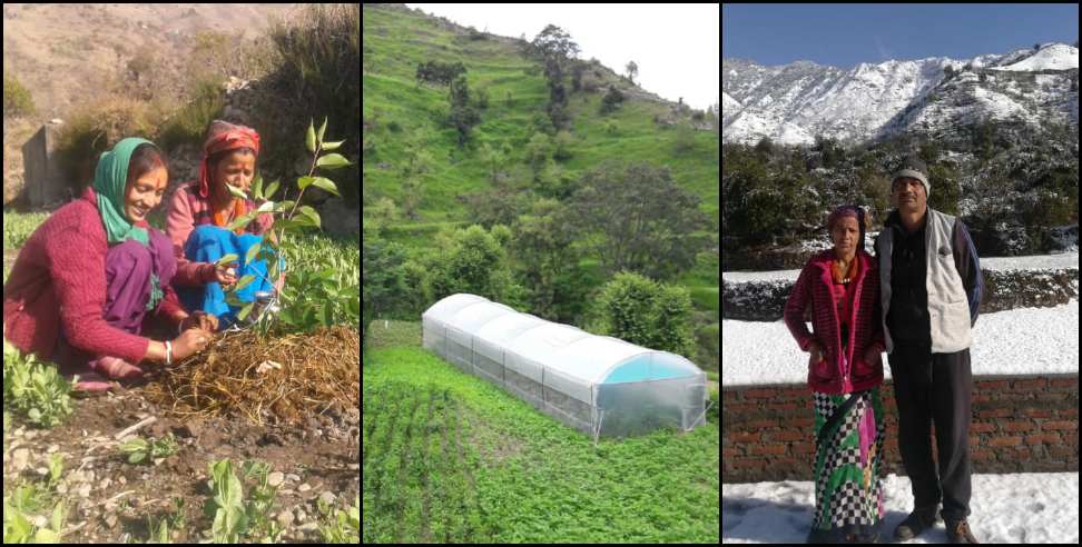 Tehri Garhwal News: Sunderlal Chamoli and Vigula Chamoli of Tehri Garhwal Khati-farming