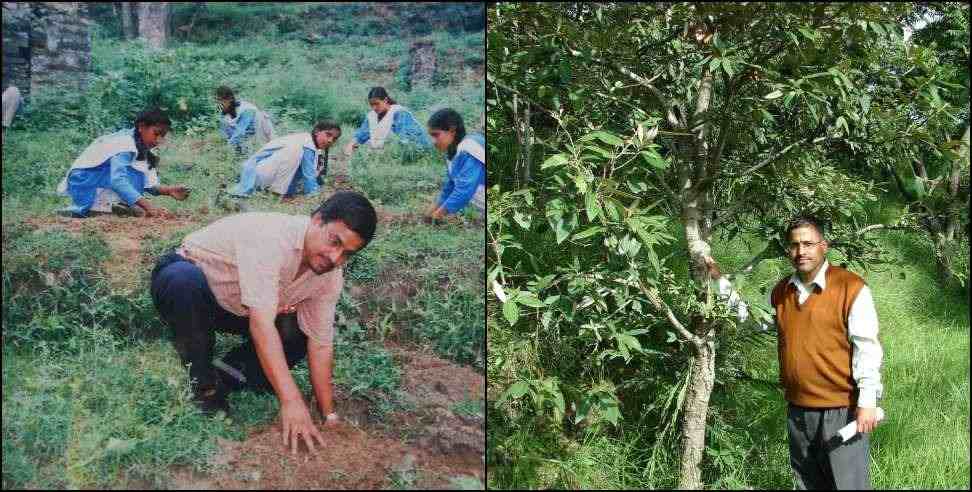 Almora Teacher Mohan Chandra Kandpal Tree Plantation