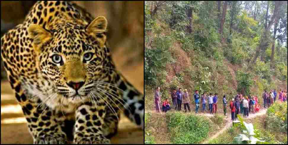 Pauri-garhwal leopard jayanti devi: Leopard attacks jayanti devi in pauri garhwal