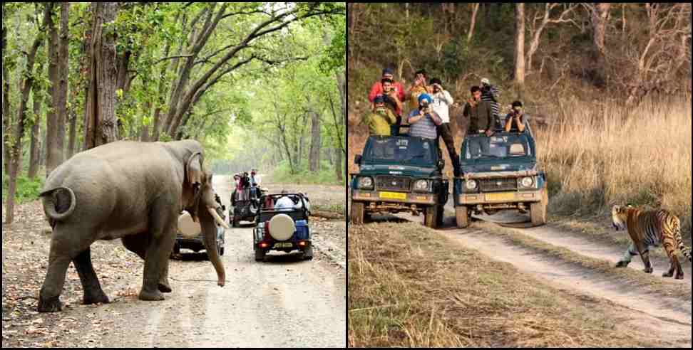 corbett range high alert : High alert in Uttarakhand Corbett Tiger Reserve