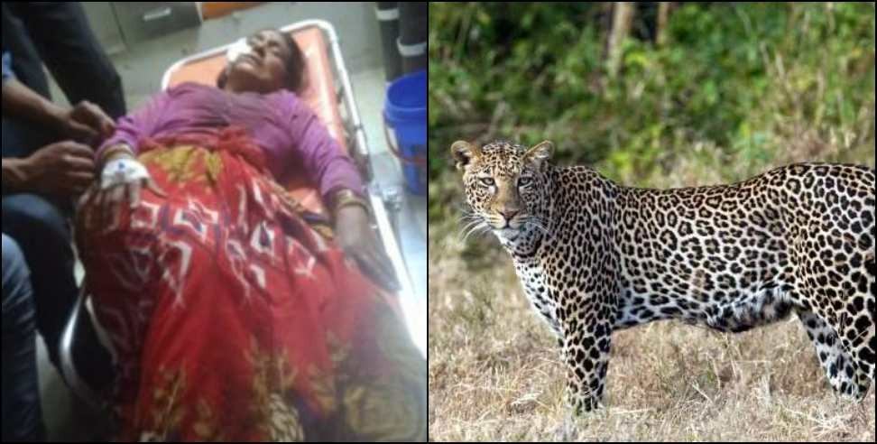 tehri Chandrama Devi leopard: Tehri Garhwal Chandrama Devi Fight With Leopard