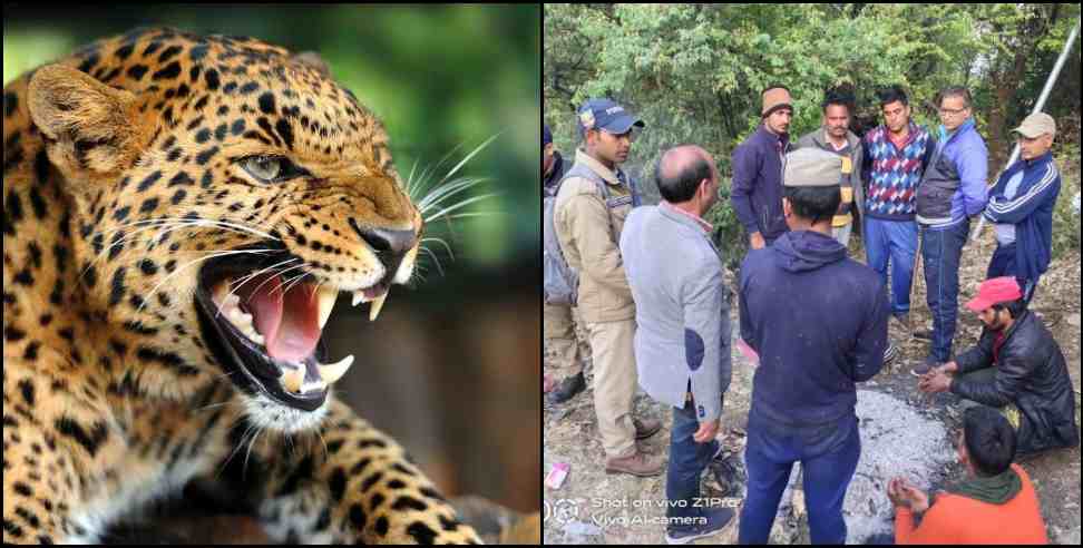 tehri akhori village leopard naveen rawat: Leopard attack on Naveen Rawat of Tehri Garhwal Akhodi village