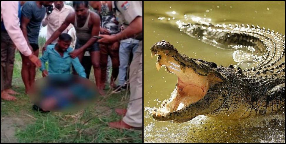 Haridwar News: Haridwar crocodile attack on 8-year-old Radhika