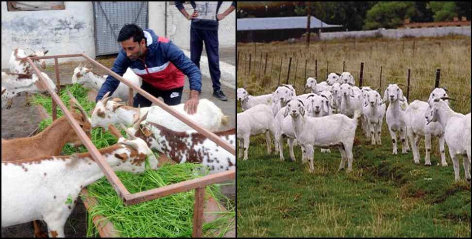 uttarakhand goat valley : Got Valley will be formed in 4 districts of Uttarakhand