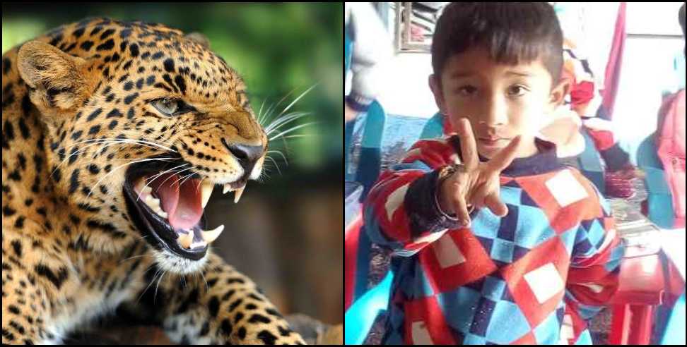 pauri garhwal nisni village leopard: Pauri Garhwal Nisni village leopard attack on Piyush