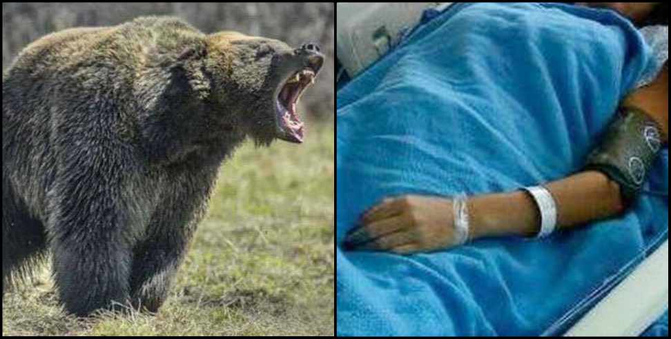 Pauri Garhwal News: Bear attacked woman in Pauri Garhwal