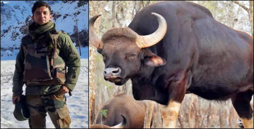 Uttarakhand soldier Akash Chauhan: Uttarakhand Soldier Dies in Bison Attack in Pachmarhi