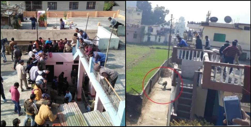 Bageshwar Leopard: Leopard enters bathroom in Bageshwar