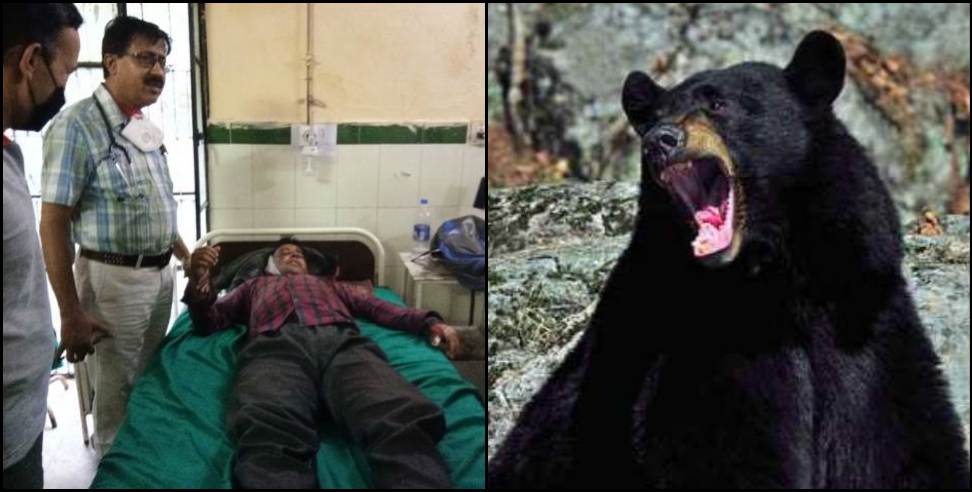chamoli Beem Bear attack: Bear attack teacher beem singh rawat tharali chamoli