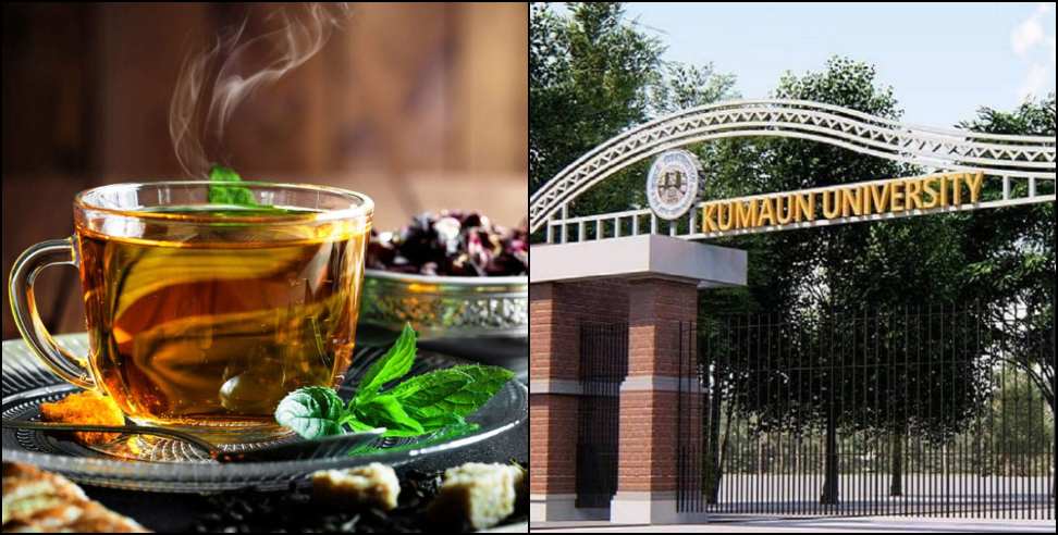 Herbal Tea: Kumaun University did research on herbal tea