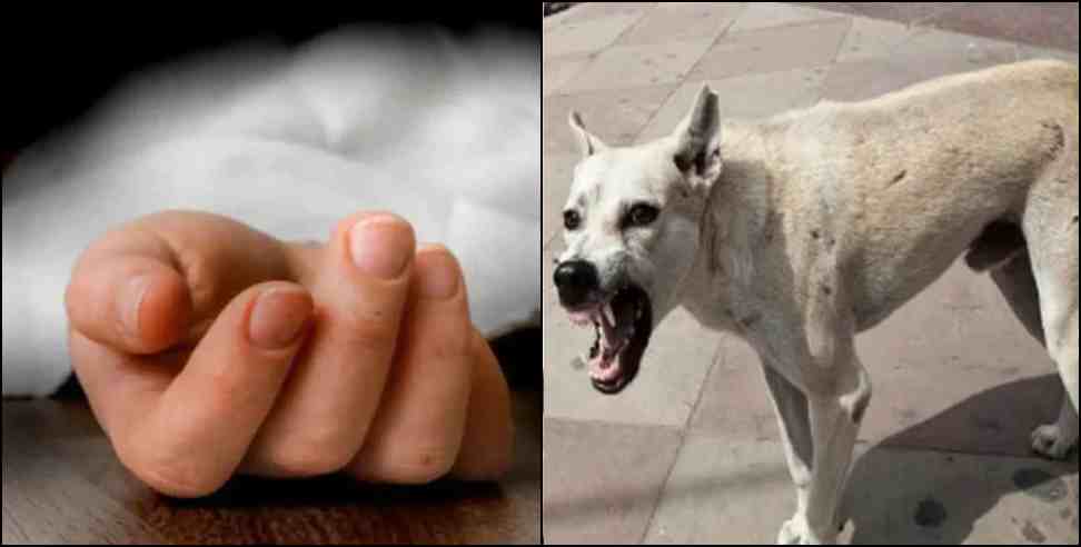 Girl dies due to dog bite in Haridwar