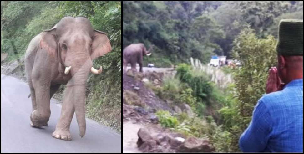 Colonal ajay kothiyal Elephant: When colonal ajay kothiyal met Elephant