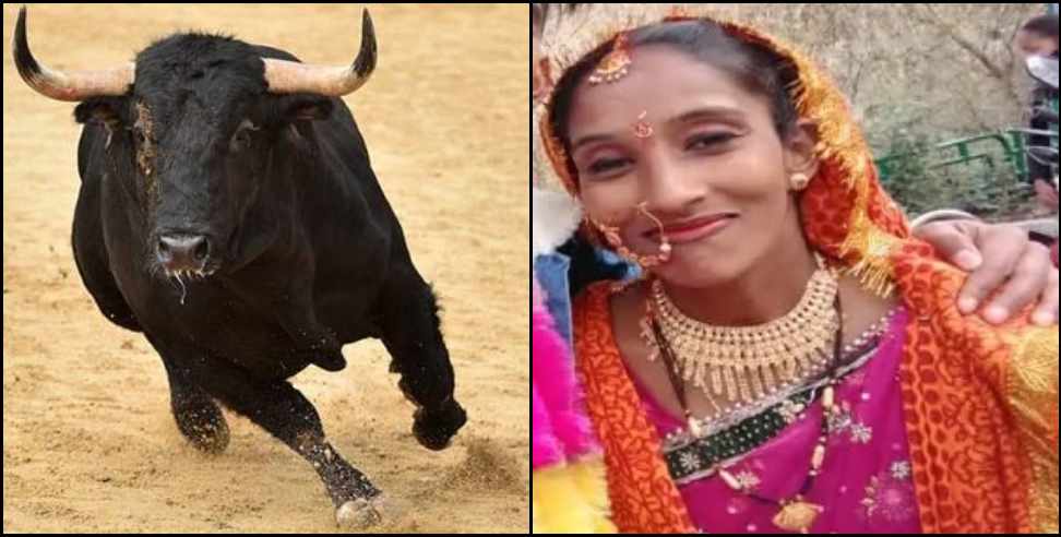 Haldwani Komla Bhuri Village Deepa Devi Bull: Haldwani Komla Bhuri village Bull kills Deepa Devi
