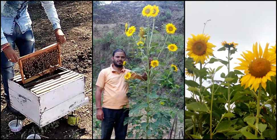 Uttarakhand self-employment: Pooran Bhatt Self Employment Almora