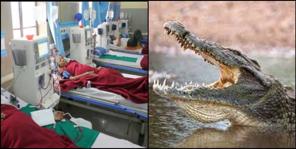 sitarganj women crocodile: Crocodile attacked woman in Sitarganj
