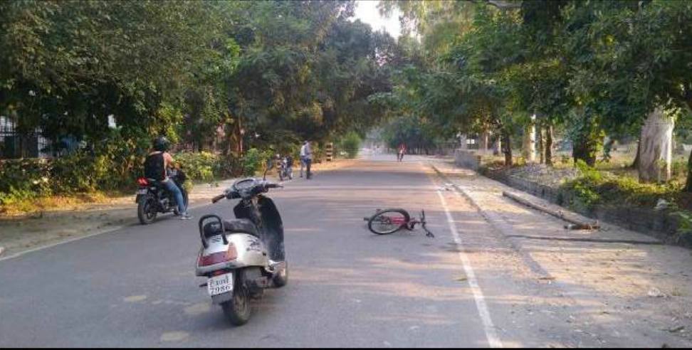 Roorkee Bee: Bee attack on people in Roorkee