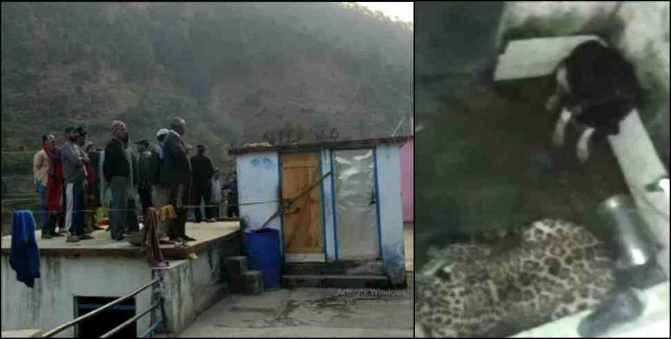 tehri leopard dog in bathroom: tehri garhwal leopard and dog locked in bathroom