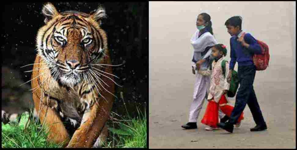 Pauri Garhwal Night Curfew Bagh: night curfew in pauri garhwal fear of tiger