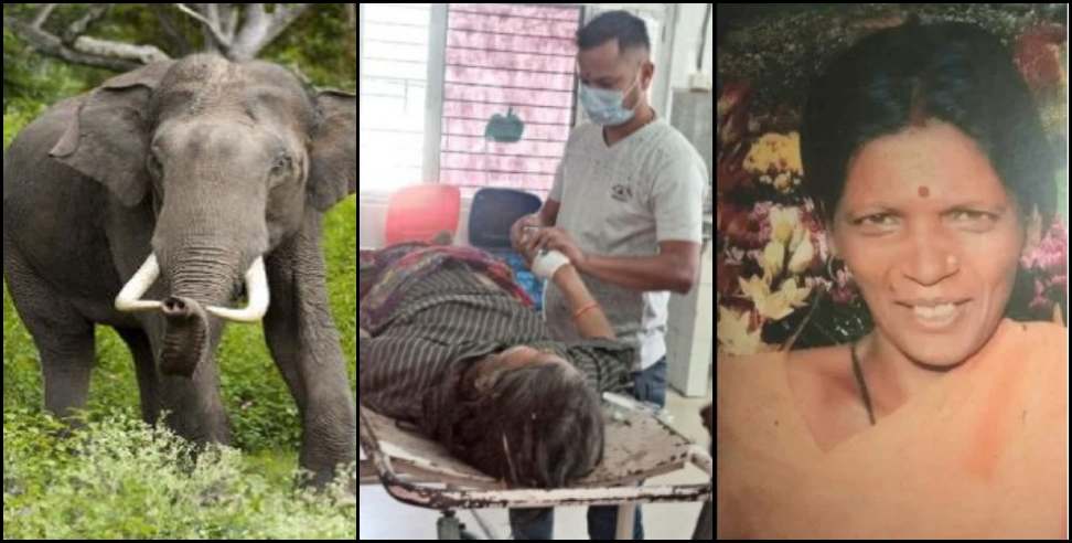 Kotdwar News: Elephant attack on woman in Kotdwar