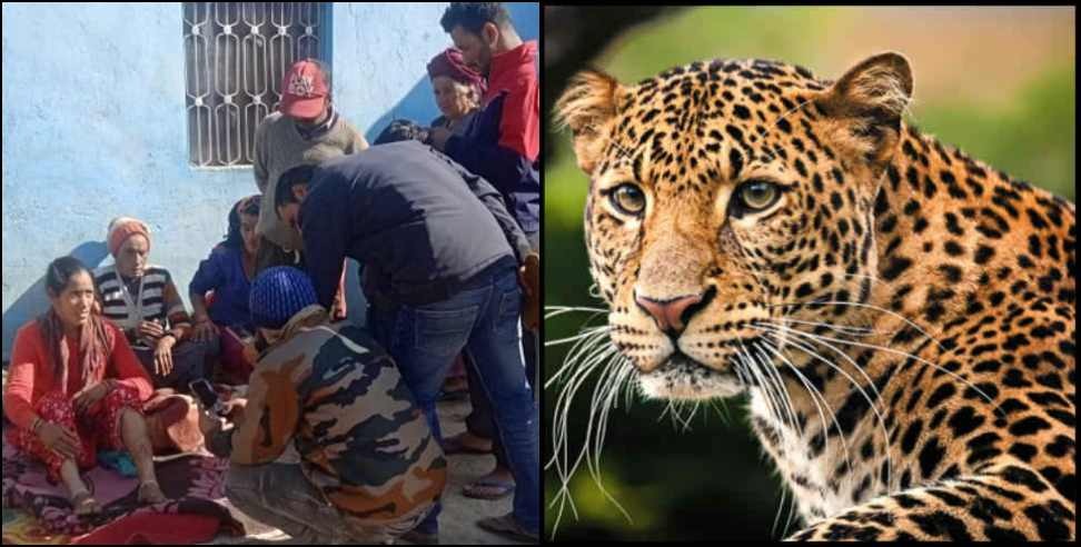 Leopard Terror Uttarkashi: Leopard attack on woman in Uttarkashi Chinyalisaur