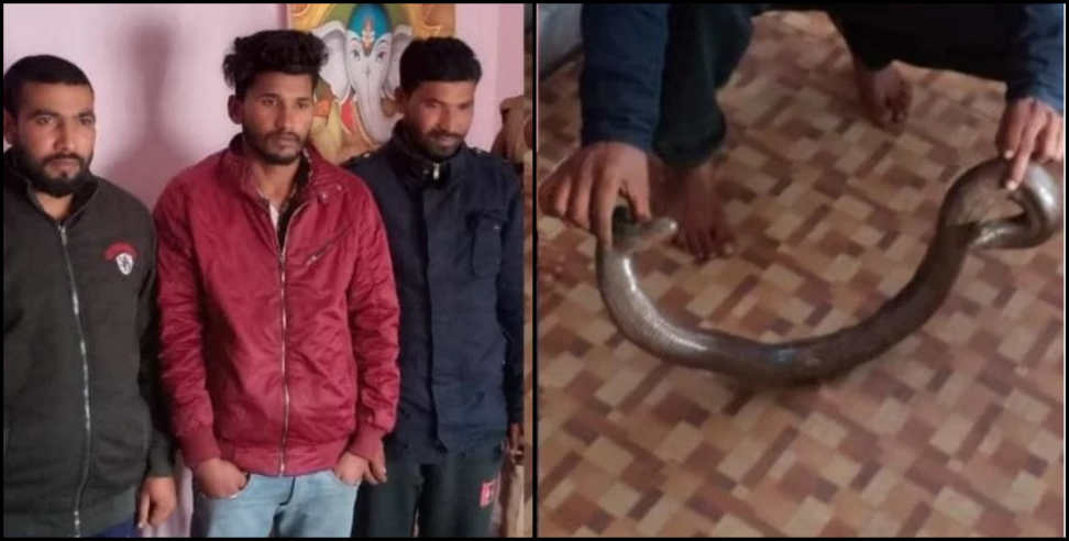 उत्तराखंड न्यूज: Dehardun police arrested three people with snake