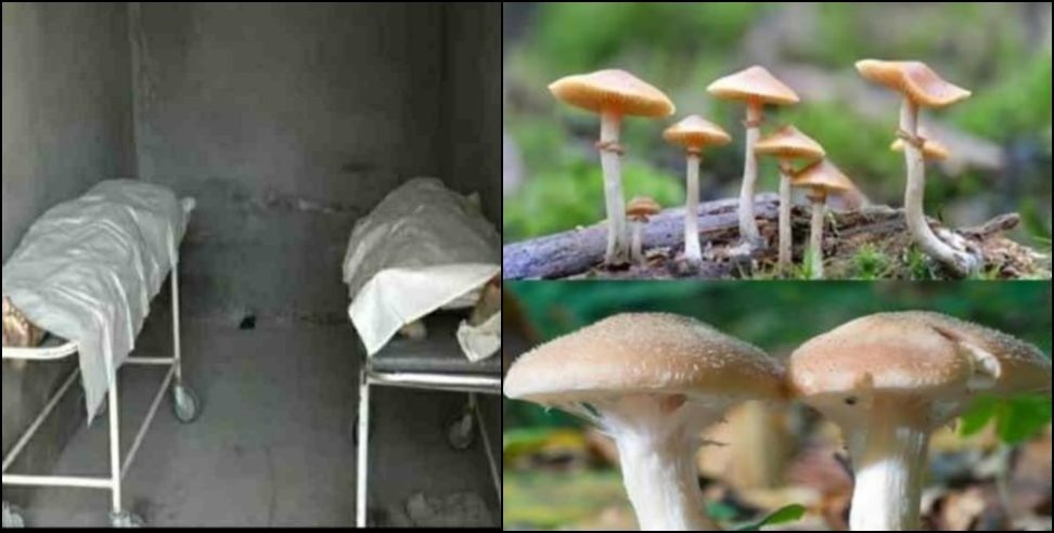 husband wife death tehri: Husband wife died after eating wild mushroom in Tehri