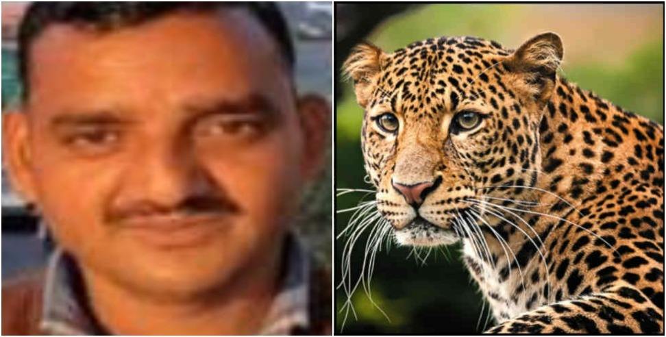 Almora leopard jagdeesh: Leopard attack on Almora Fayatnoula Jagdish