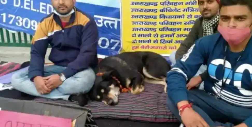 dehradun gandhi park dog strike: Dog hunger strike in Dehradun Gandhi Park