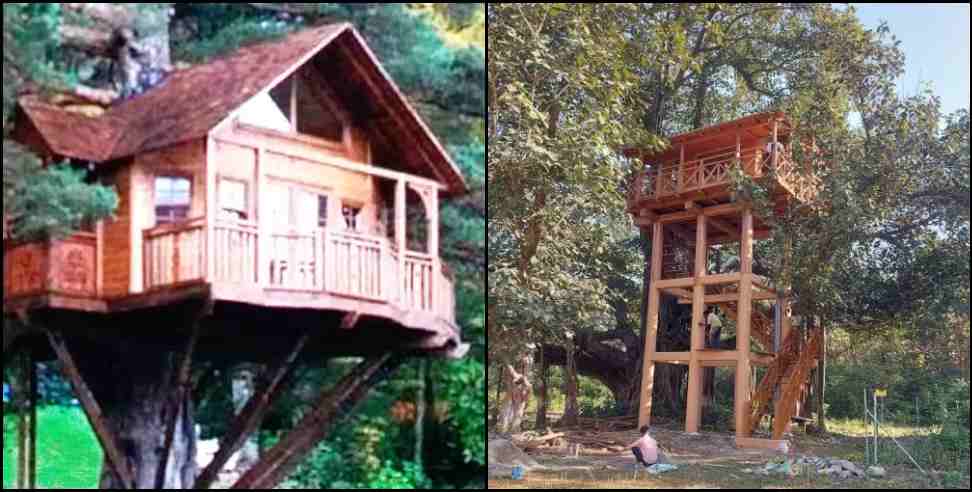 Ramnagar Phato Range Tree House: uttarakhand first tree house ready in ramnagar phato range