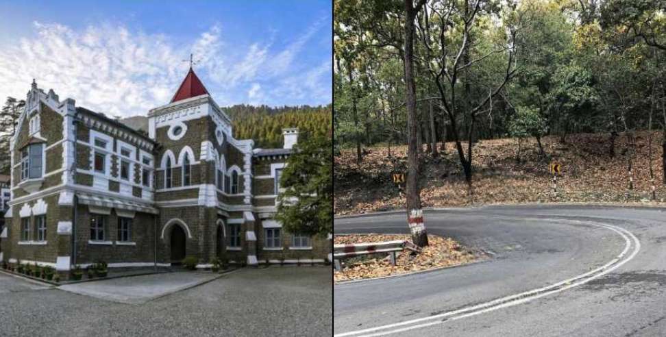 Ban on cutting of 3300 trees: HC stays felling of 3300 trees for road project in Dehradun