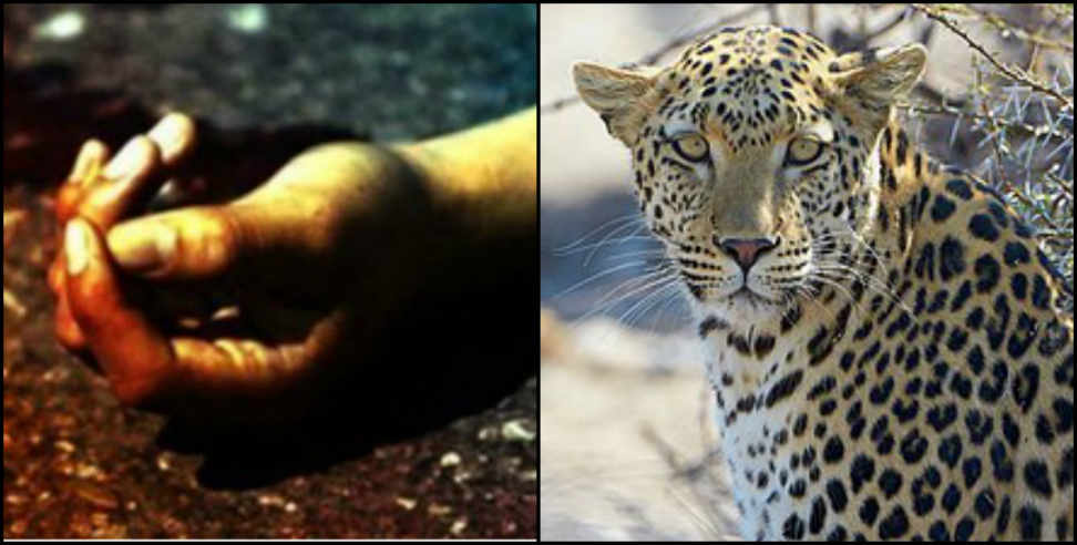 Leopard attack: Leopard killed 9 years old child in pauri