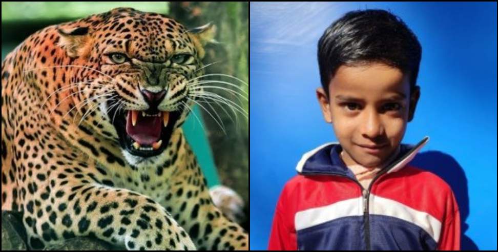 Pithoragarh News: Leopard killed 10-year-old Gokul in Gangolihat