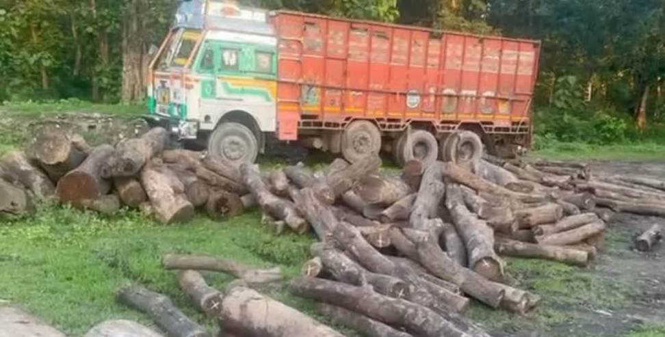 wood smuggling case: Four officers suspended in wood smuggling case